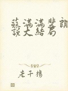 苏满满裴朗行小说大结局封面