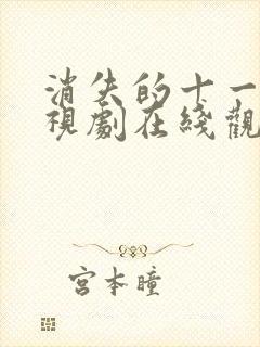 消失的十一层电视剧在线观看封面