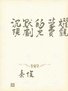 沉默的荣耀 电视剧免费观看全集高清版