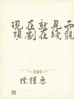 现在就见面吧电视剧在线观看免费高清