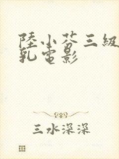 陆小芬三级露全乳电影封面