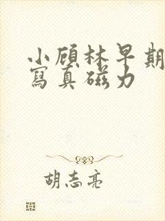 小顾林早期裸体写真磁力