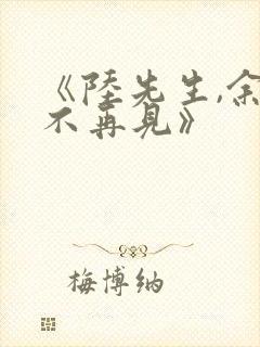 《陆先生,余生不再见》封面