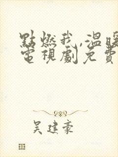 点燃我,温暖你电视剧免费版在线观看封面