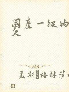 国产一级内射久久