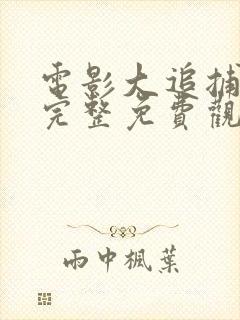 电影大追捕在线完整免费观看国语