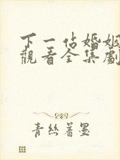 下一站婚姻免费观看全集剧情介绍