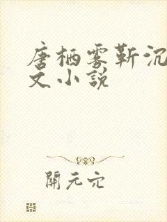 唐栖雾靳沉野全文小说封面