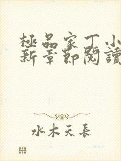 极品家丁小说最新章节阅读