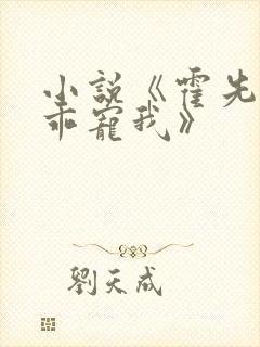 小说《霍先生乖乖宠我》封面