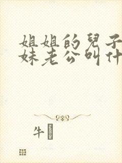 姐姐的儿子叫妹妹老公叫什么