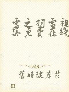 云之羽电视剧全集免费在线观看封面