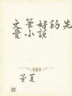 文笔好的先婚后爱小说