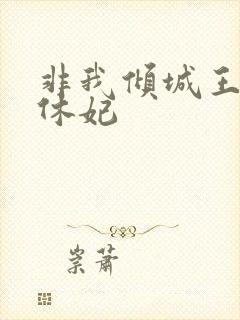 非我倾城王爷要休妃封面