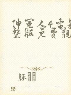 伸冤人4电影完整版免费观看封面