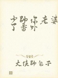 少帅你老婆又跑了番外