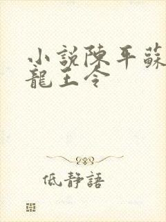 小说陈平苏雨琪龙王令