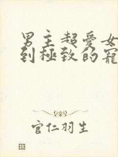 男主超爱女主爱到极致的宠文封面