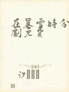 在暴雪时分电视剧免费封面