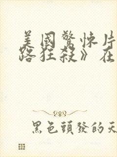 美国惊悚片《末路狂杀》在线播放