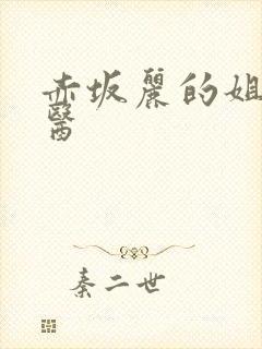 赤坂丽的姐妹牙医封面