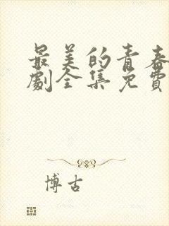 最美的青春电视剧全集免费封面