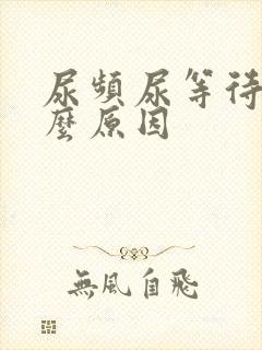 尿频尿等待是什么原因