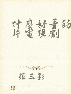 什么好看的谍战片电视剧