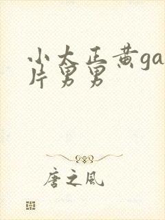 小太正黄gay片男男