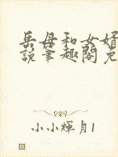 岳母和女婿的小说笔趣阁免费阅读