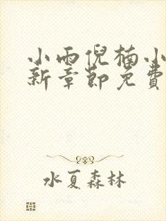 小雨倪楠小说最新章节免费阅读