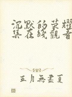 沉默的荣耀34集在线观看