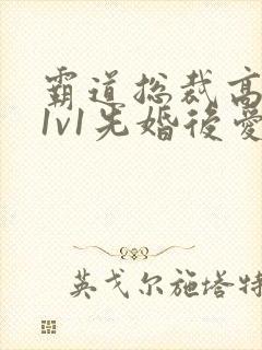 霸道总裁高干文1v1先婚后爱小娇妻