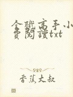 全职高手小说免费阅读txt