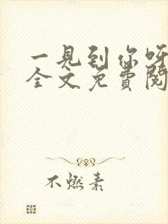 一见到你呀小说全文免费阅读