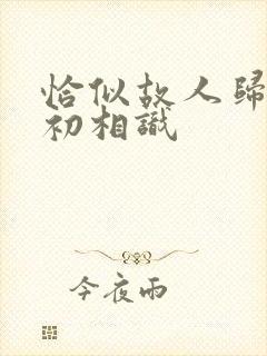 恰似故人归与君初相识封面