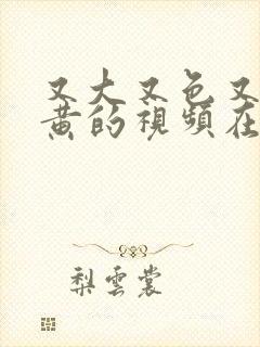 又大又色又爽又黄的视频在线观看