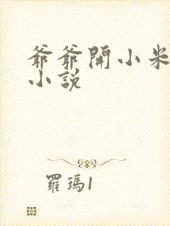 爷爷开小米的包小说