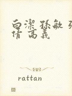 白洁 孙敏 张倩 高义封面