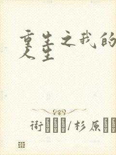 重生之我的书记人生