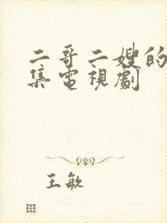 二哥二嫂的40集电视剧