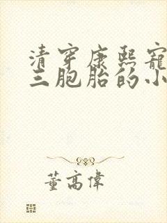 清穿康熙宠妃生三胞胎的小说