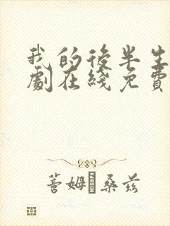 我的后半生电视剧在线免费观看