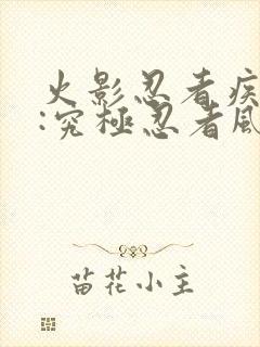 火影忍者疾风传:究极忍者风暴