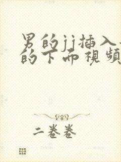 男的jj插入女的下面视频