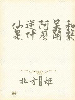 仙逆阿呆和王林是什么关系封面