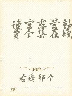 后宫露营动漫免费全集在线观看封面