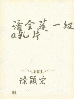 潘金莲一级淫片a乳片