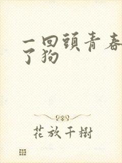 一回头青春都喂了狗