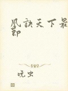 凰诀天下最新章节